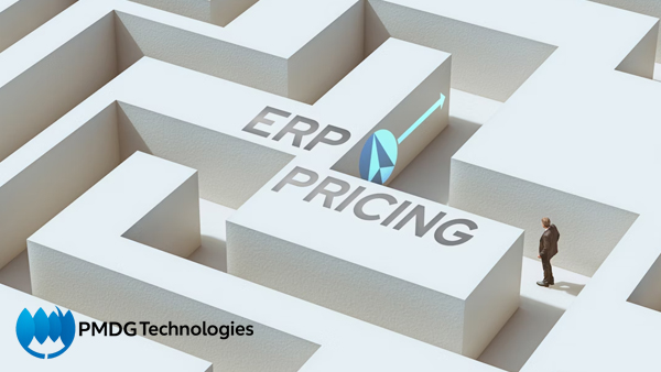 ERP-Consulting-Services-pmdgtech