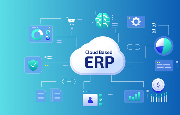 ERP and Custom Software