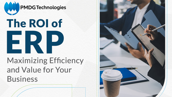 Maximizing ERP Investments with Expert Consulting Services